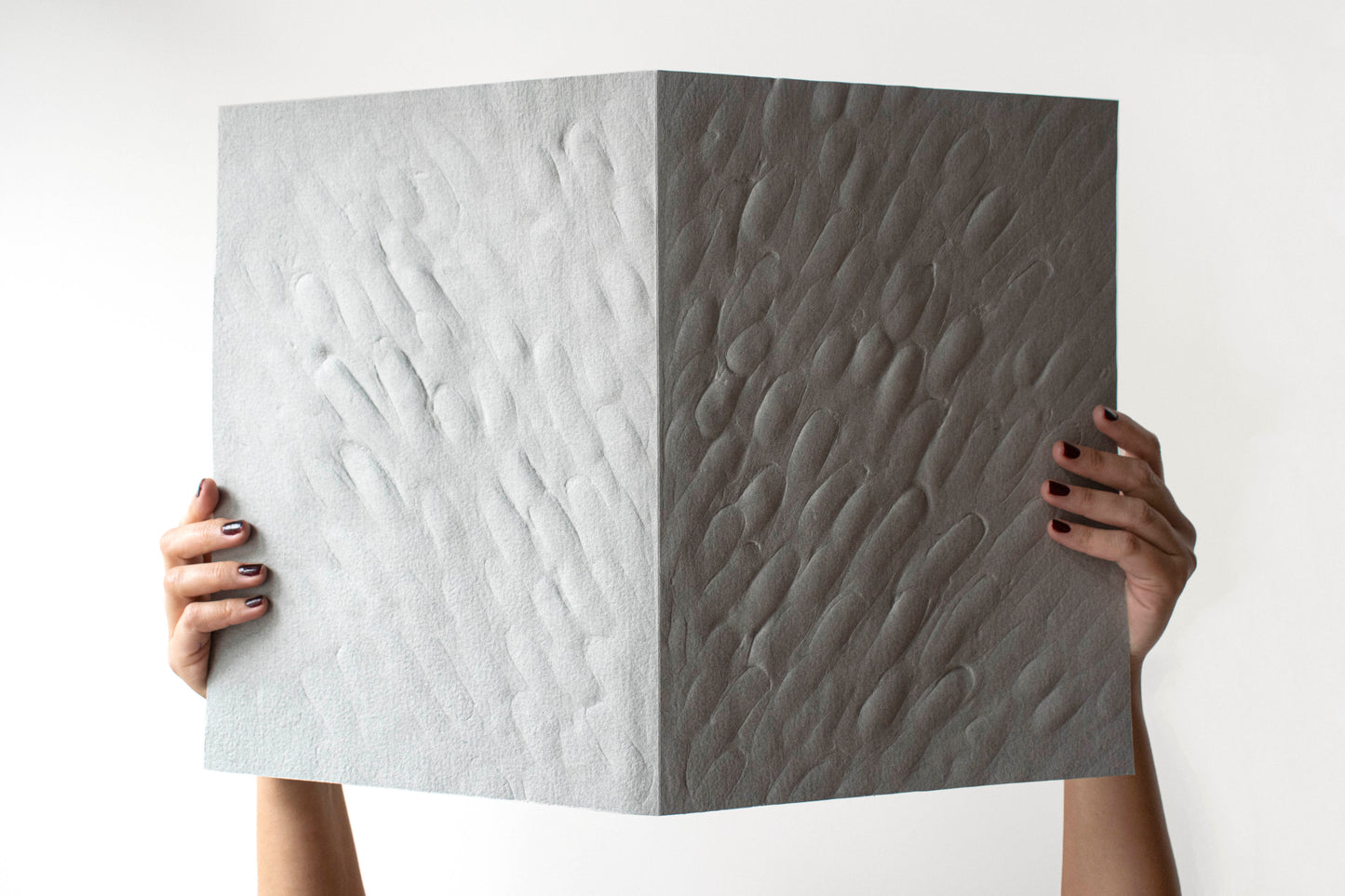 Interior - Special Edition